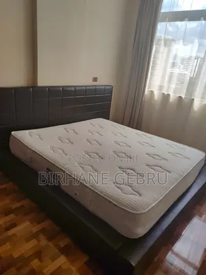 Luxury 2 Bedroom Fernished Guest House Rent