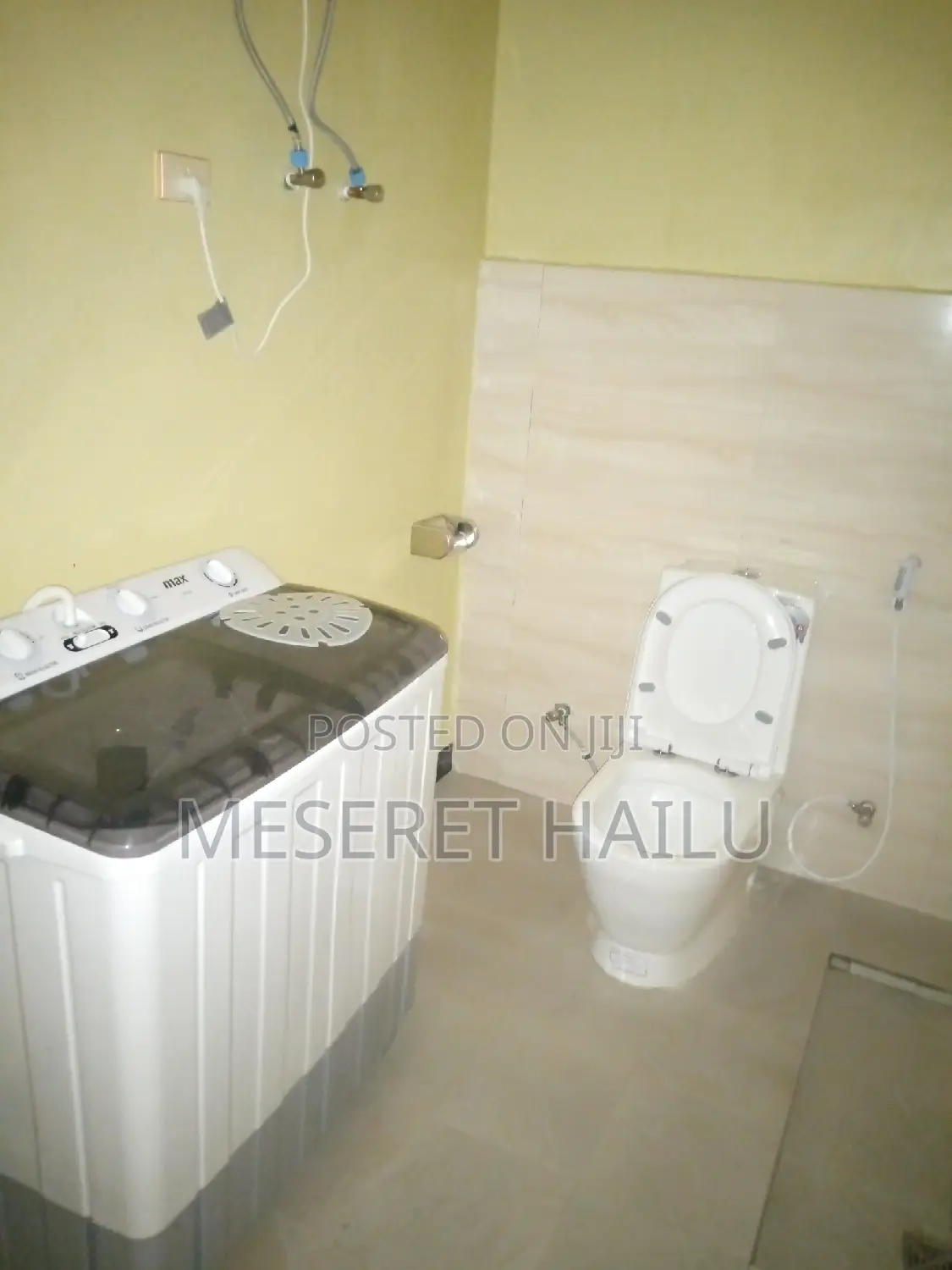 Furnished 1bdrm Apartment in Bole for rent
