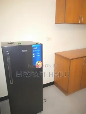 Furnished 1bdrm Apartment in Bole for rent