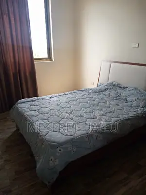 Furnished 1bdrm Apartment in Bole for rent
