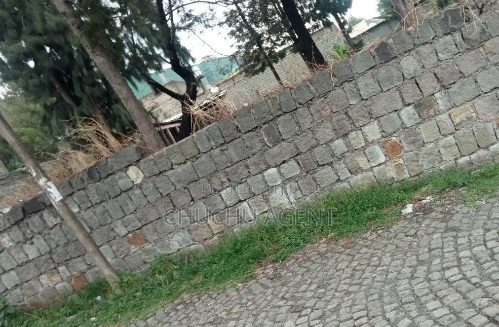 ቦታ ሽያጭ 1000 Meter Square