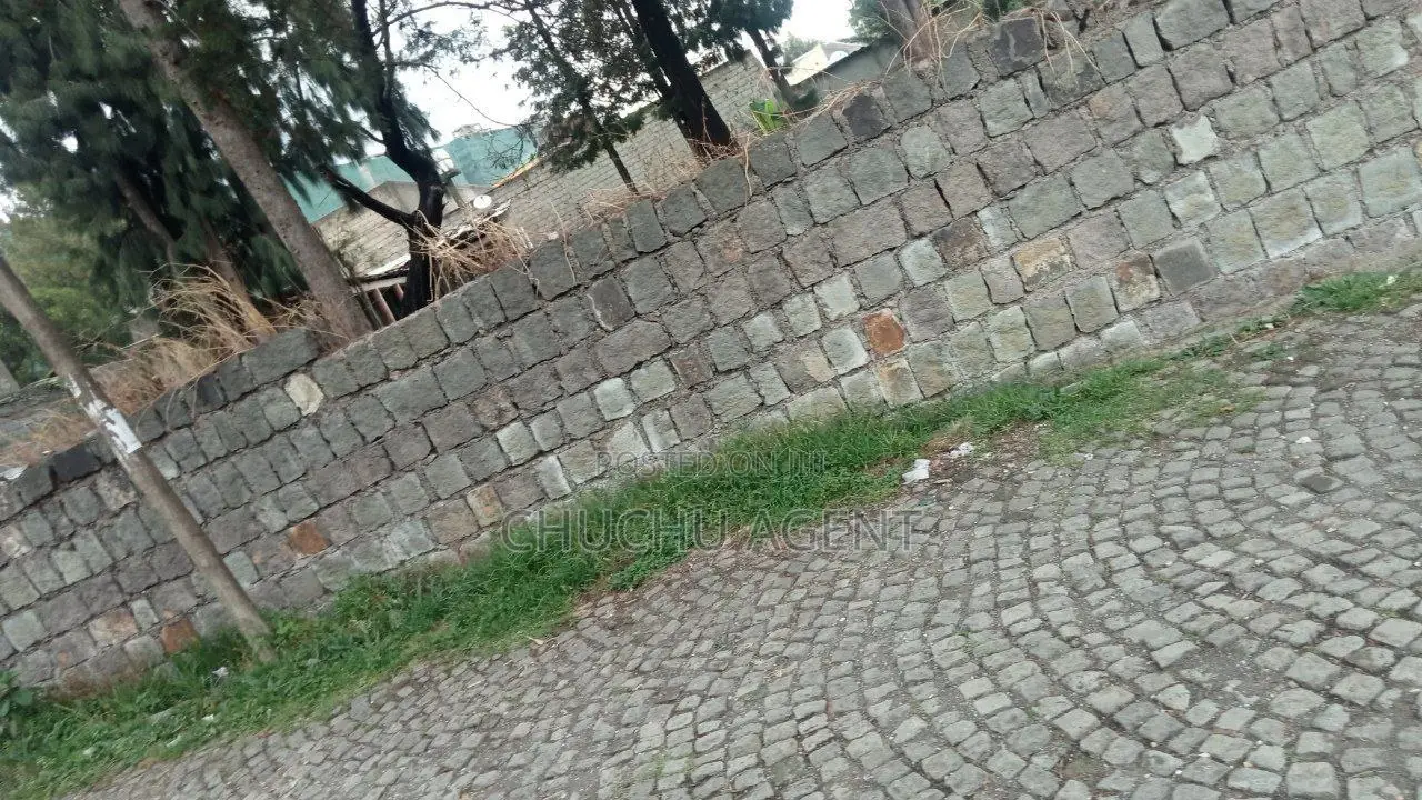 ቦታ ሽያጭ 1000 Meter Square