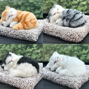 Stimulating Cute Cat Toys