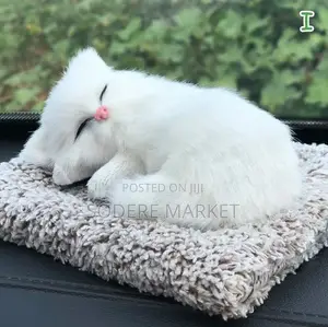 Stimulating Cute Cat Toys