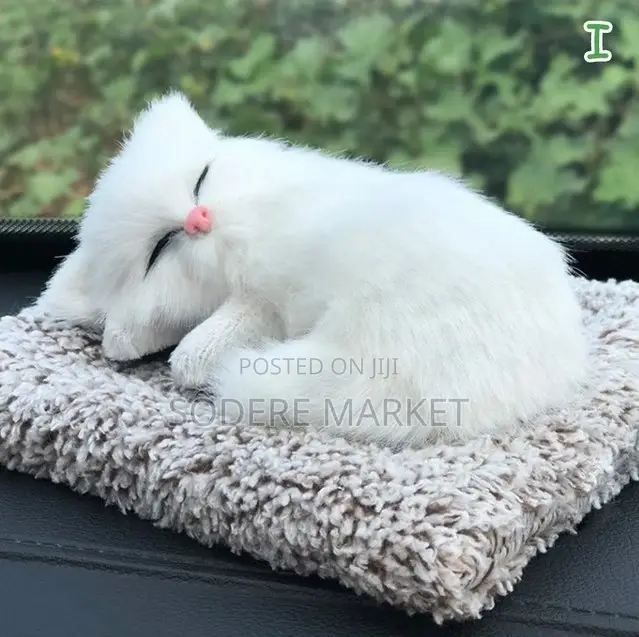 Stimulating Cute Cat Toys