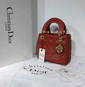Dior Fashonable Bags