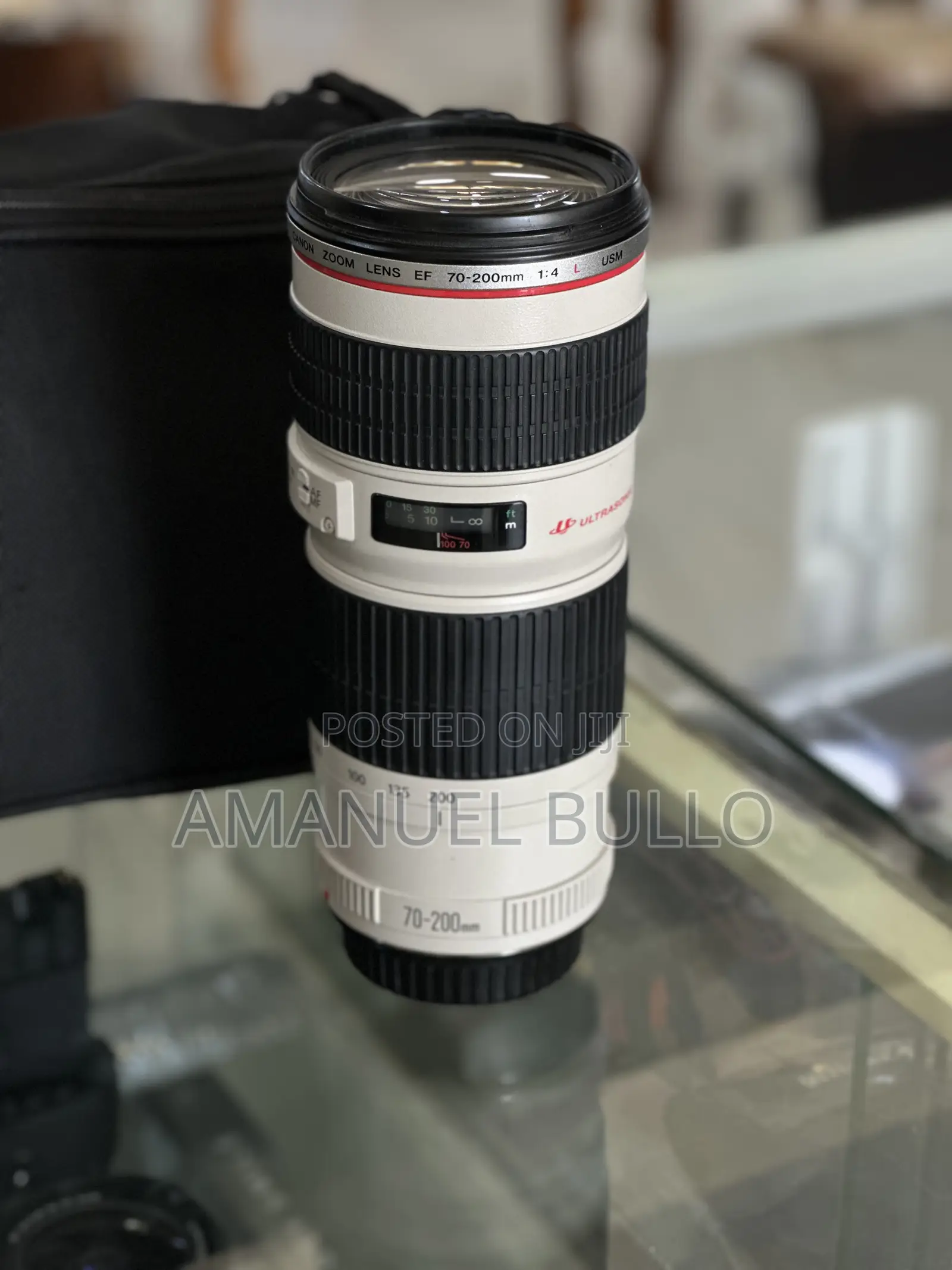 Canon 70-200mm F4 Zebra Lens