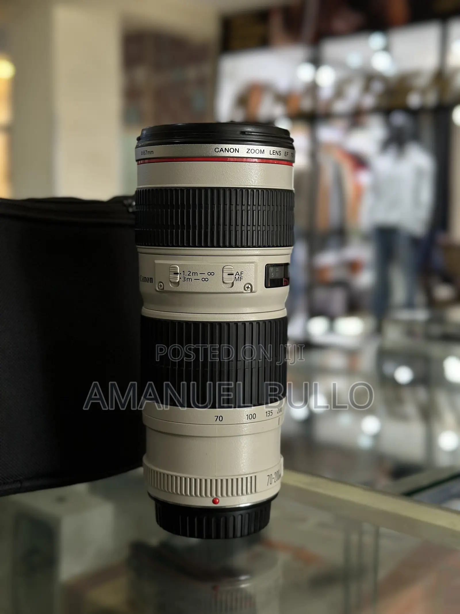 Canon 70-200mm F4 Zebra Lens
