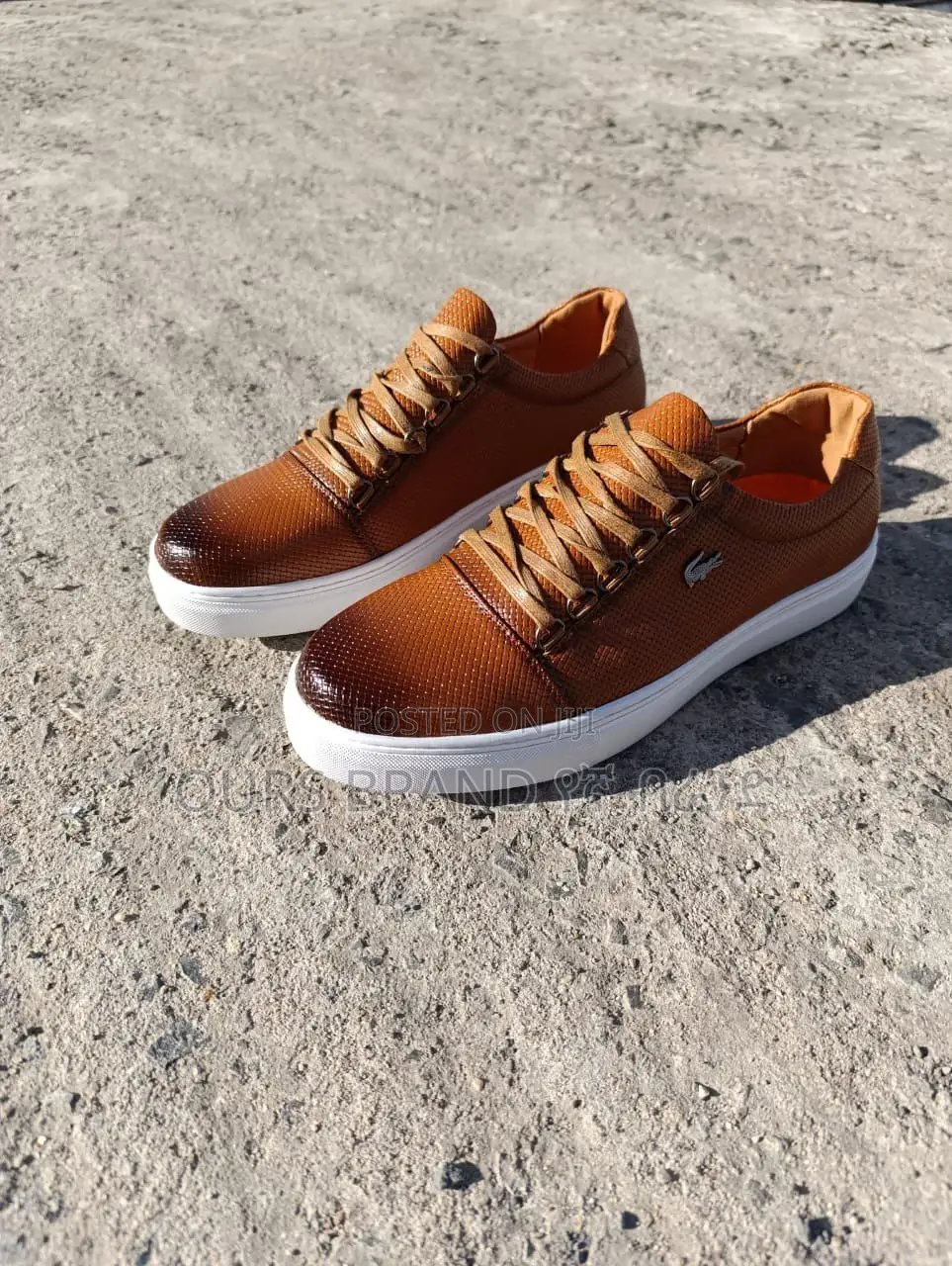 High Master Quality Luxurious Lacoste Sneakers Shoes