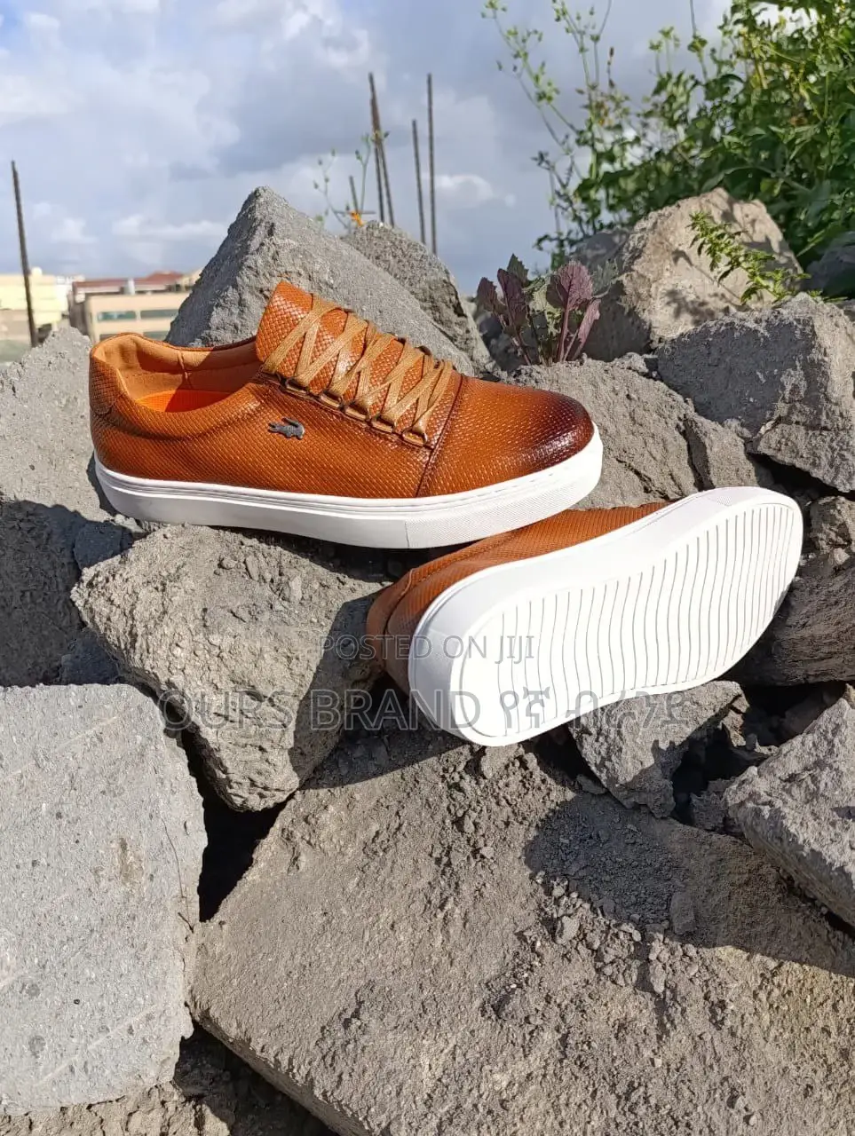 High Master Quality Luxurious Lacoste Sneakers Shoes