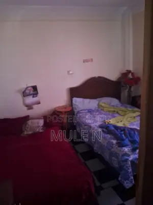 Furnished 1bdrm Condo in Abado Condominium, Yeka for sale