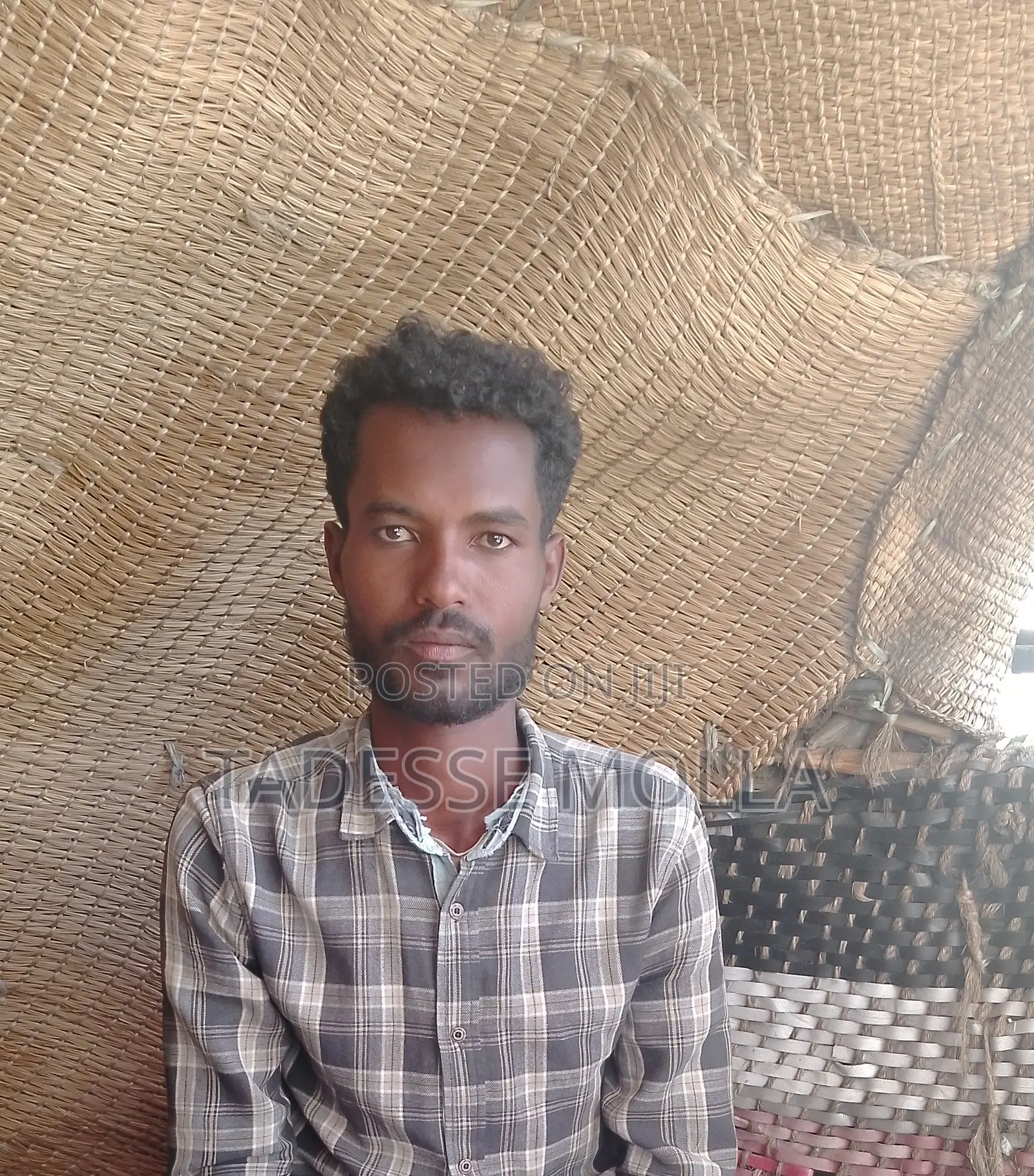 Freelance Contact at Sam_freelance(Telegram