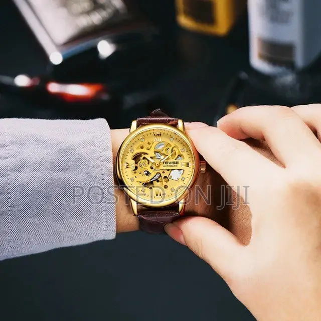 Tevise Automatic Men's Watch Elegant Sophisticated Contact