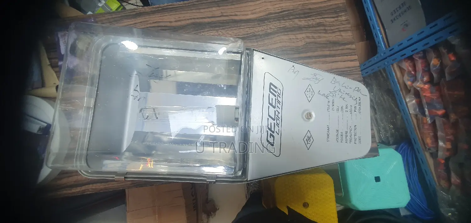 Street Light 250W With Sodium Lamp