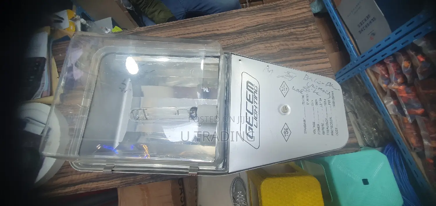 Street Light 250W With Sodium Lamp