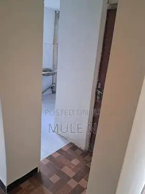 Photo - 1bdrm Condo in Abado Condominium, Yeka for sale