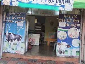 Photo - Yeka Abado Condominium Shop