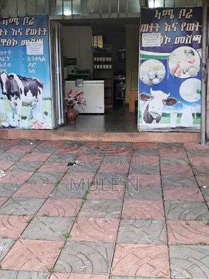 Yeka Abado Condominium Shop