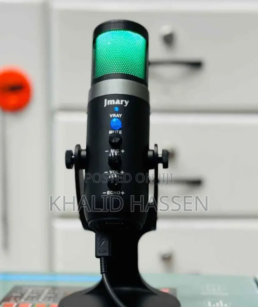 Professional Condenser Mic