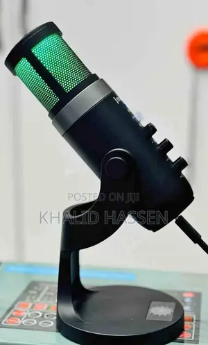 Professional Condenser Mic