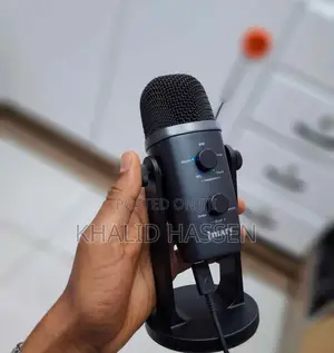 Professional Condenser Mic