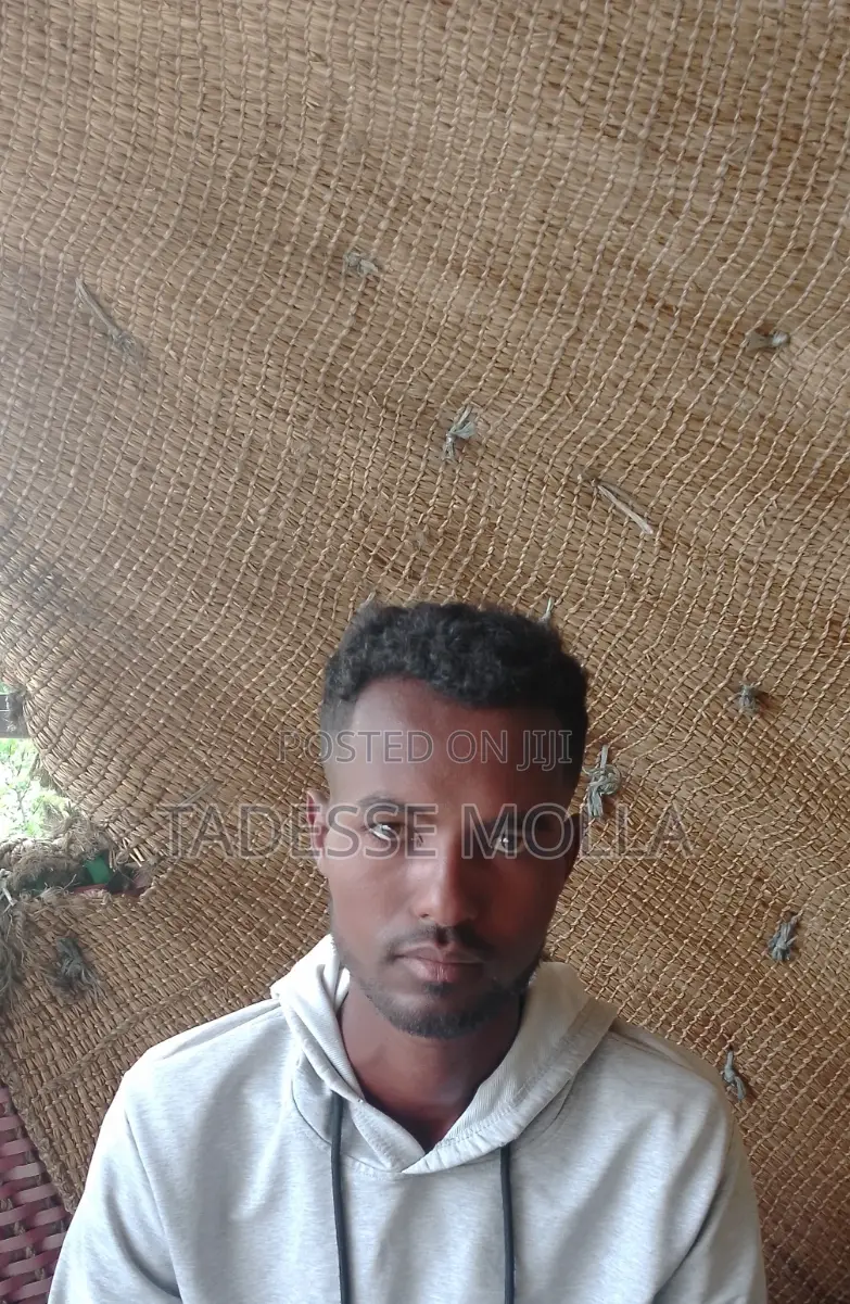 Junior Office Engineer