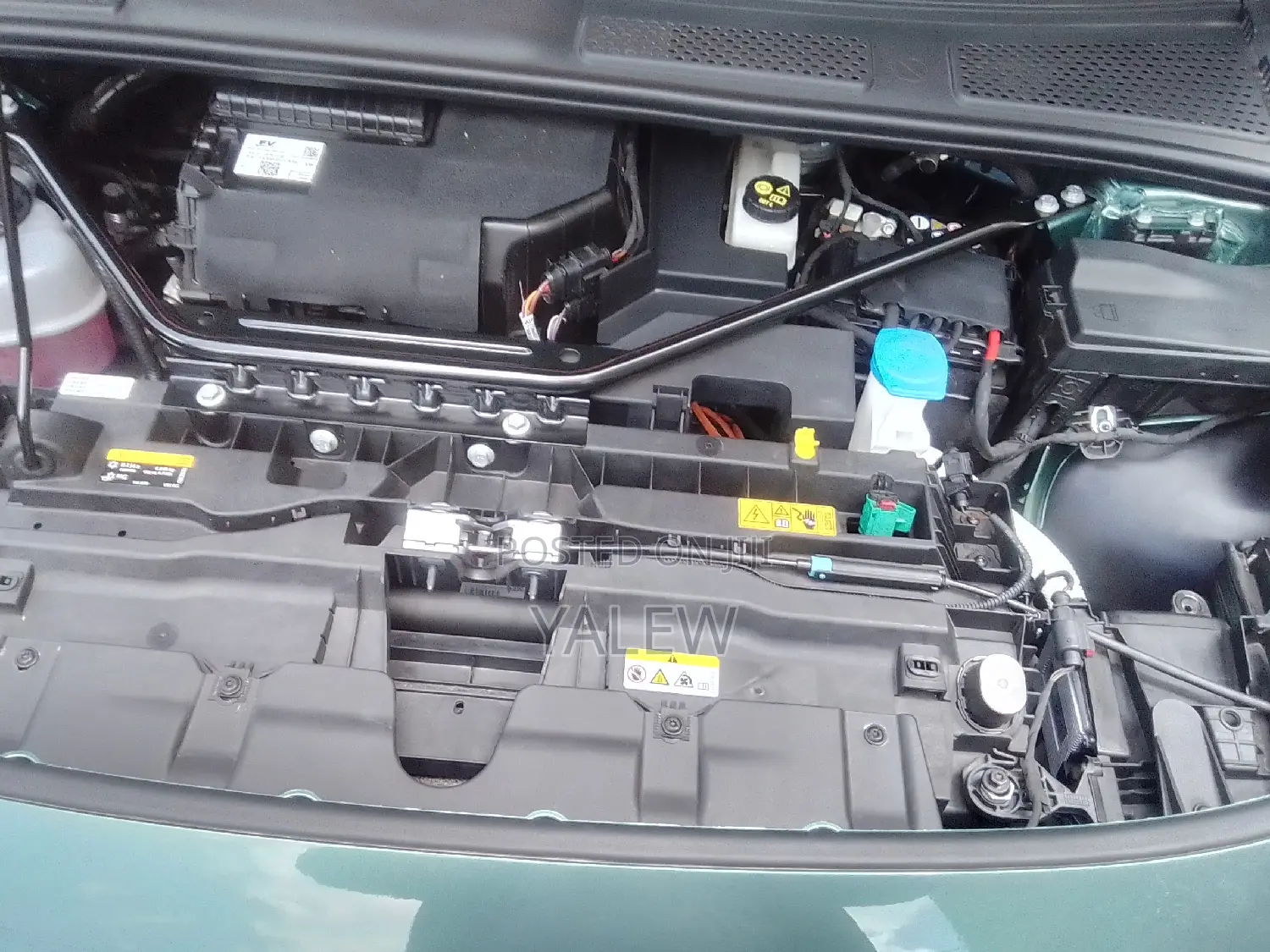 New Volkswagen 1 2024 Green