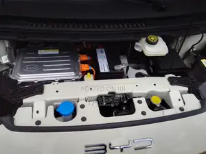 New BYD Song Plus 2024 Beige