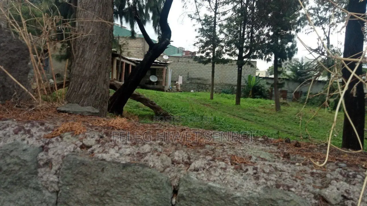 በአስቸኳይ የሚሸጥ ለማንኛውም አይነት ግንባታ መሆን የሚችል