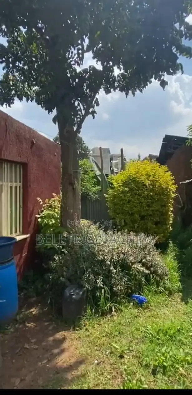 ኮተቤ ካራ፤ በአስቸኳይ የሚሸጥ በጣም ቆንጆ ቦታ። 1122ካ.ሜ