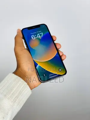 New Apple iPhone 11 Pro Max 64 GB Gray