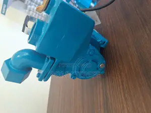 Water Pump Self-Priming Peripheral Pumps WZB