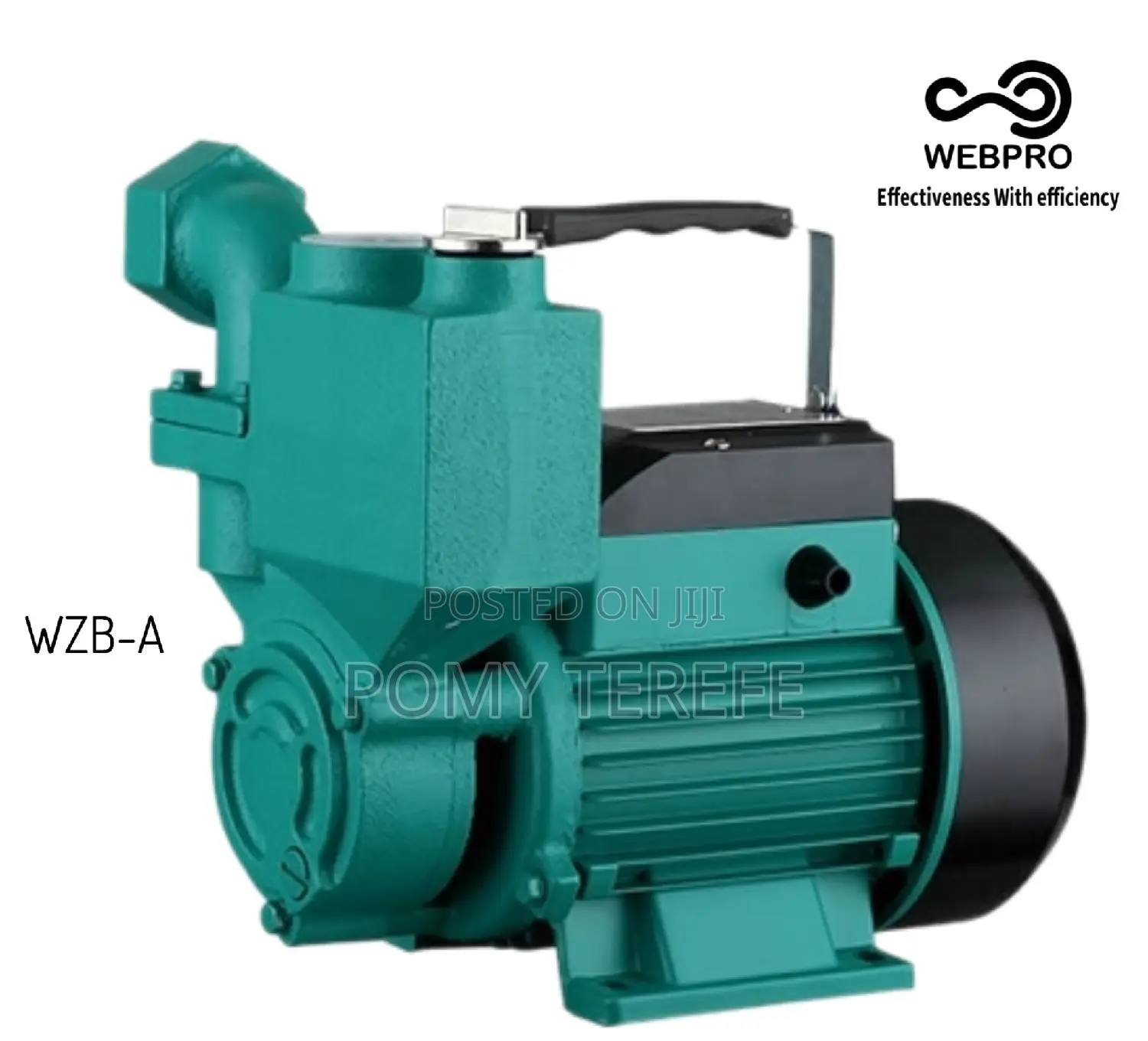 Water Pump Self-Priming Peripheral Pumps WZB