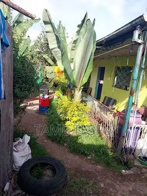 2bdrm House in Yeka Kollejiii for sale