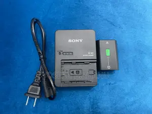 Photo - Sony Camera Battery and Charger Np-Fz100