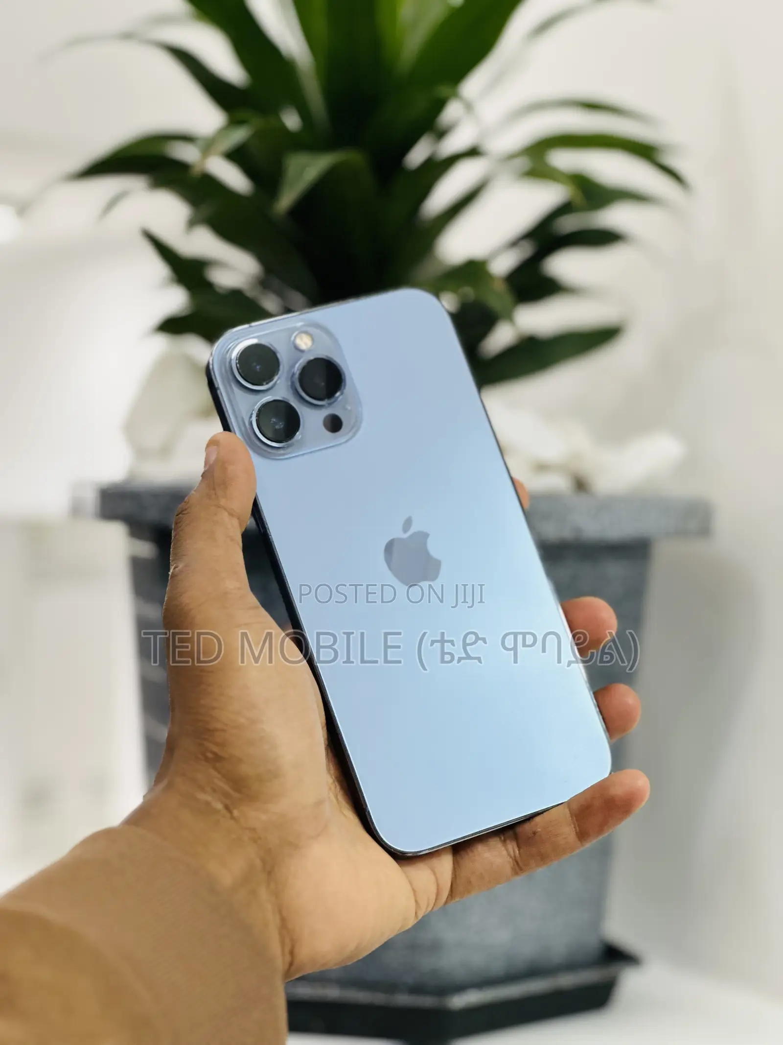 Apple iPhone 13 Pro Max 256 GB Blue