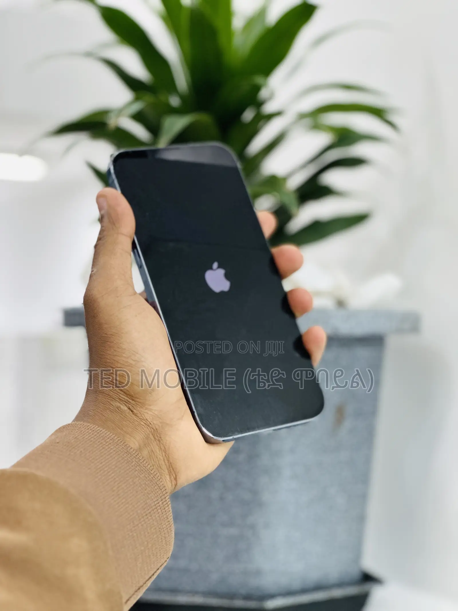 Apple iPhone 13 Pro Max 256 GB Blue