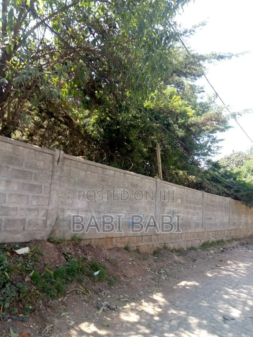 5000M2 Fir Sale Aroun Ayer Tena 5000ካሬ ለሽያጭ የቀረበ አየር ጤና አካባቢ