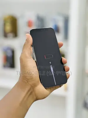 Apple iPhone 12 Pro 256 GB Green