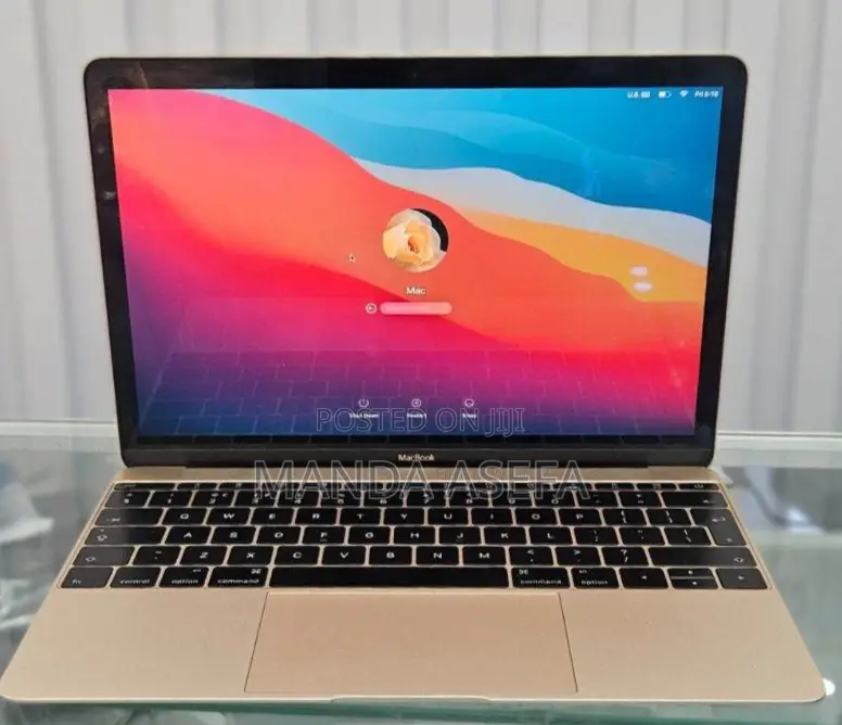 New Laptop Apple MacBook 8GB Intel Core M SSD 256GB