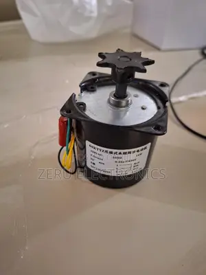 Photo - Egg Turner Motor