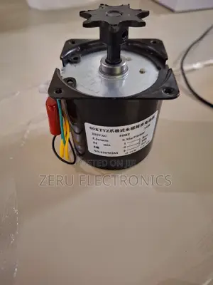 Egg Turner Motor