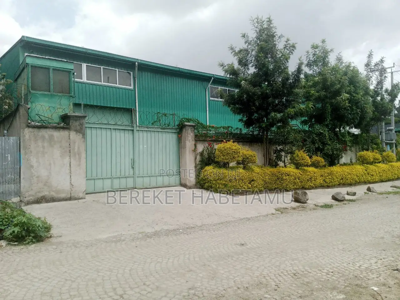 የሚከራይ መጋዝን