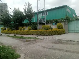 የሚከራይ መጋዝን