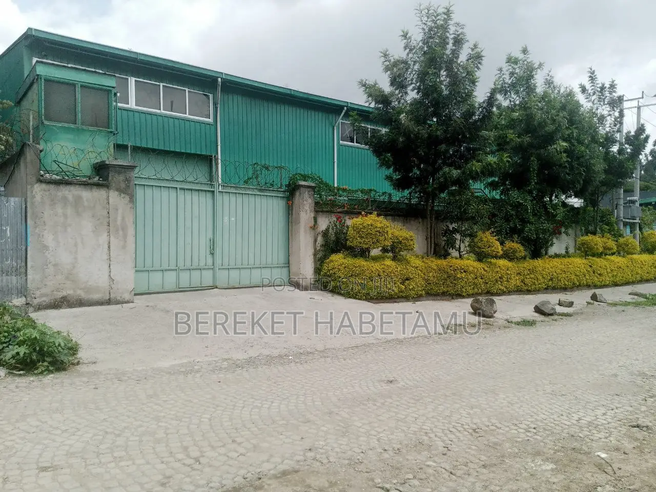 የሚከራይ መጋዝን