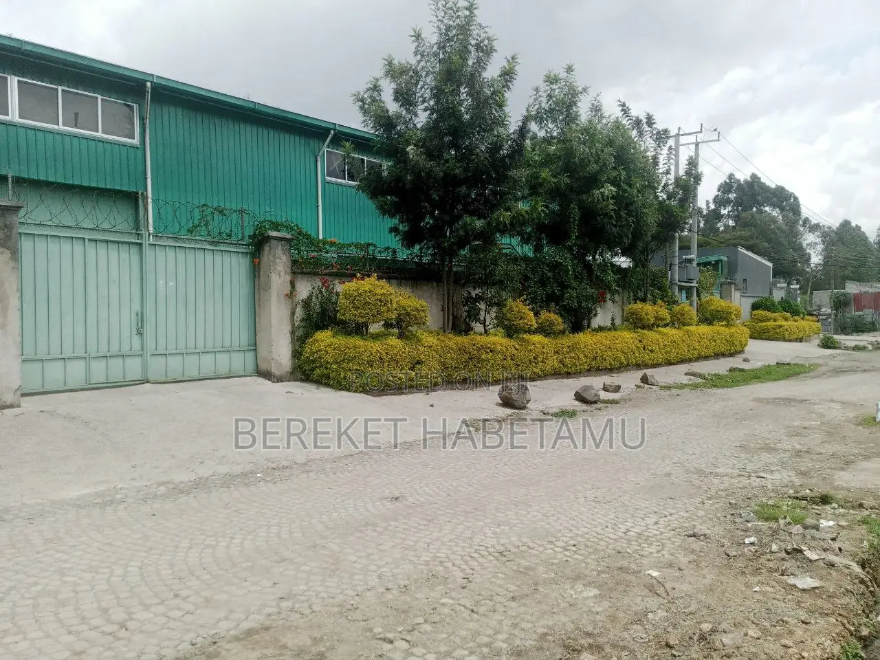 የሚከራይ መጋዝን