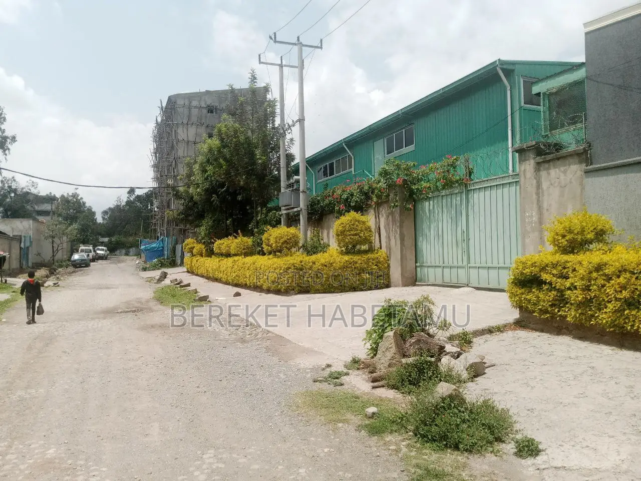 የሚከራይ መጋዝን