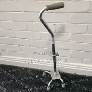 Photo - Walking Cane