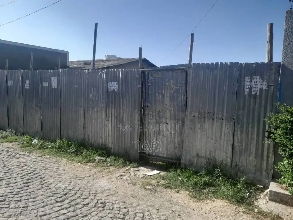 አያት አበበች ጉበና 500 ካሬ ለ2 መቆረጥ የሚችል ምርጥ ቦታ