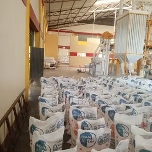 ለሽያጭ የቀረበ ዱቄት ፋብሪካ Flour Factory for Sale